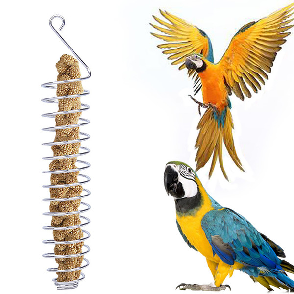 Stainless Steel Spiral Birds Feeder Treat Fruit Holder for Parrot Bird Feeder