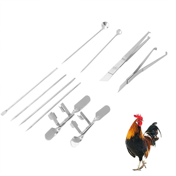 10pcs Stainless Steel Farm Livestock Breeding Chicken Hen Rooster Capon Tool Equipment Hatchery Kit