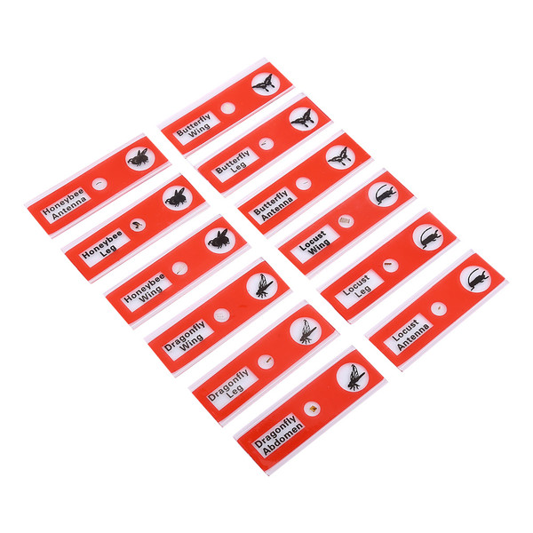 12pcs Plastic Prepared Microscope Slides Animals Insects Flowers Plants Red box