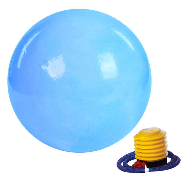 65cm Anti burst Fitness Gym Yoga Balance Strength Stability Exercise Ball with Air Pump(Blue)
