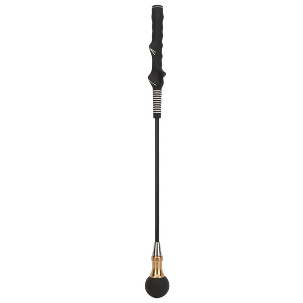 Golf Swing Training Aid Golf Swing Trainer Aid Golf Practice Warm Up Stick for Strength Flexibility Tempo Training 5 Adjustable Sound Levels Gold