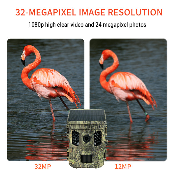 Wildlife Camera Solar Energy Trail Cam 4K with 1080P Night Vision Waterproof BT WiFi APP WiFi Enabled Hunting Cameras 16MP Game Cameras with Motion Activation
