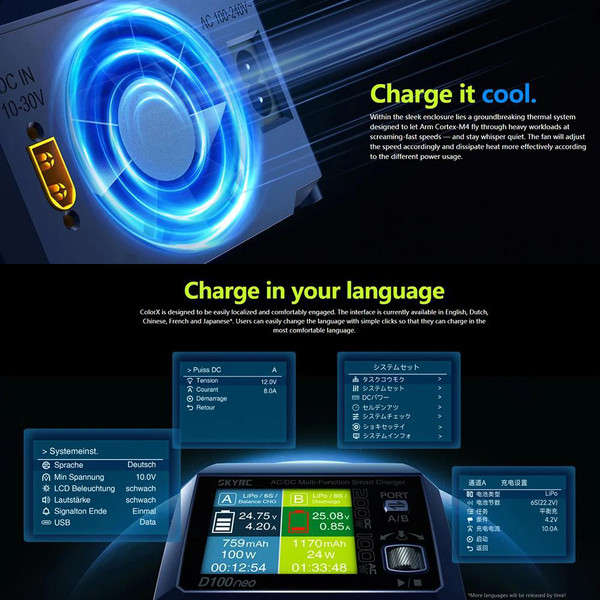 SkyRC D100Neo AC100W DC200W Dual Channel Multi-Function Intelligent Charger for Lipo/LiFe/Lilon/LIHV/NIMH/NICD 3S/6S/12S Pb Battery (UK Plug)