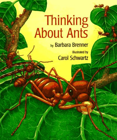 Thinking About Ants