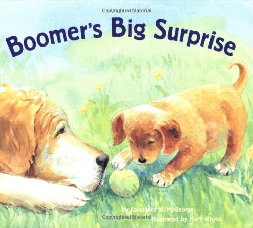 Boomer's Big Surprise