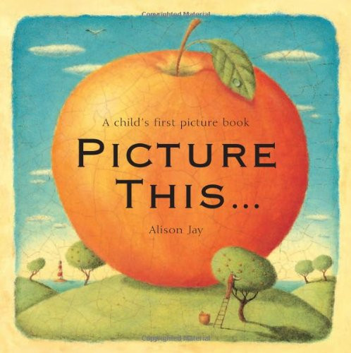 Picture This... : A Child's First Picture Book