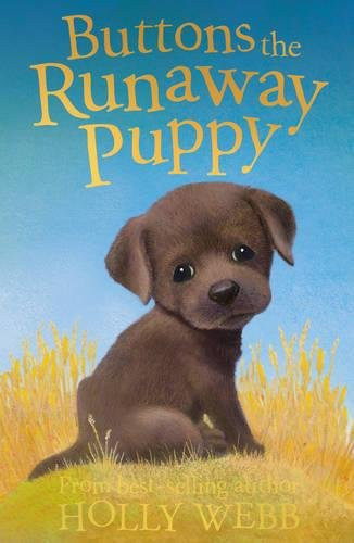 Buttons the Runaway Puppy (Holly Webb Animal Stories)