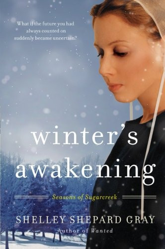 Winter's Awakening: Seasons of Sugarcreek, Book One