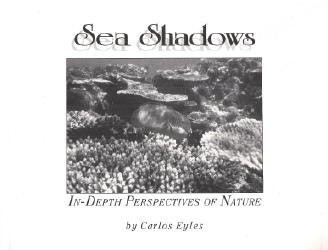 Sea Shadows: In-Depth Perspectives of Nature