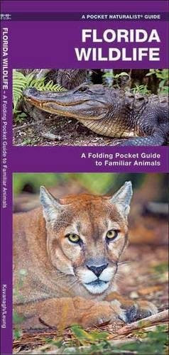 Florida Wildlife: A Folding Guide to Familiar Animals (A Pocket Naturalist Guide)