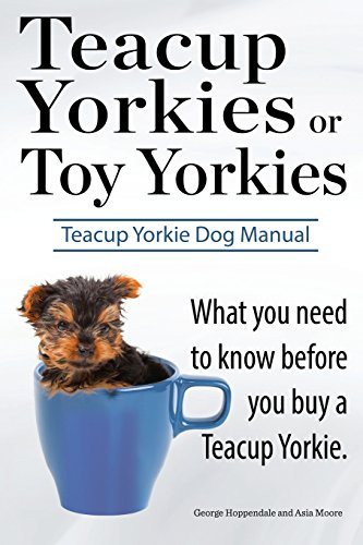 Teacup Yorkies or Toy Yorkies. Ultimate Teacup Yorkie Dog Manual. What You Need to Know Before You Buy a Teacup Yorkie or Toy Yorkie.