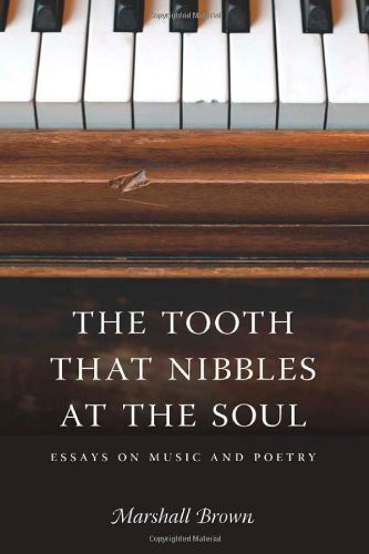 The Tooth That Nibbles at the Soul: Essays on Music and Poetry (Literary Conjugations)