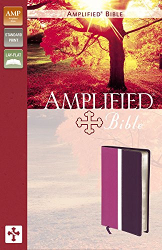 Amplified Bible: Dark Orchid / Deep Plum, Italian Duo-Tone