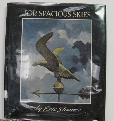 For Spacious Skies