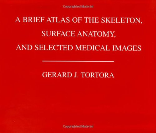 A Brief Atlas of the Skeleton Surface Anatomy, and Selected Medical Images