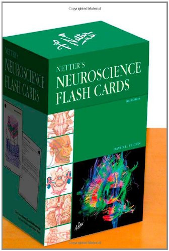 Netter's Neuroscience Flash Cards, 2e (Netter Basic Science)
