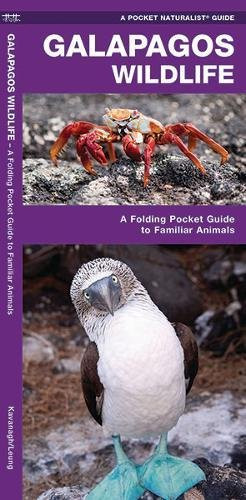Galapagos Wildlife: A Folding Pocket Guide to Familiar Animals (A Pocket Naturalist Guide)