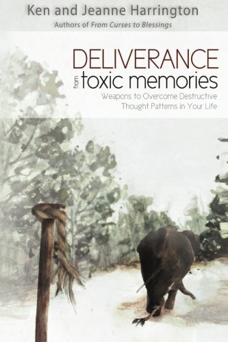 Deliverance from Toxic Memories: Weapons to Overcome Destructive Thought Patterns in Your Life