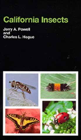 California Insects (California Natural History Guides)