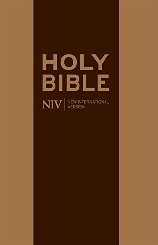 The Holy Bible: New International Version.