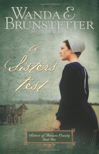 A Sister's Test (Sisters of Holmes County, Book 2)