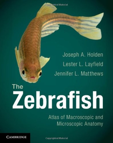 The Zebrafish: Atlas of Macroscopic and Microscopic Anatomy