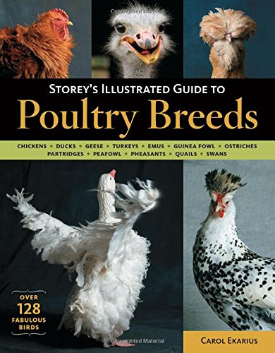 Storey's Illustrated Guide to Poultry Breeds: Chickens, Ducks, Geese, Turkeys, Emus, Guinea Fowl, Ostriches, Partridges, Peafowl, Pheasants, Quails, Swans