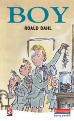 Boy (New Windmills KS3)