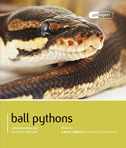 Ball Python (Royal Python) (Pet Expert)