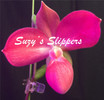 Suzy's Slippers