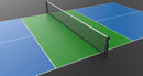 PICKLEBALL POSTS