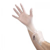 Gloves Medium (MED) Vinyl Powder-Free 100 Count/Pack 10 Packs/Case 1000 Count/Case
