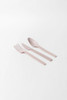 4PC Cutlery Kit 9.83 IN Agave Natural Heavyweight With Napkin,Fork,Knife,Spoon 200/Case