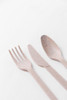 4PC Cutlery Kit 9.83 IN Agave Natural Heavyweight With Napkin,Fork,Knife,Spoon 200/Case