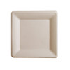 Plate 10.25X10.25 IN Sugarcane Tan Square 125 Count/Bag 2 Bags/Case 250 Count/Case
