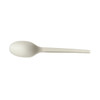 Spoon 6.5 IN CPLA 1000/Case