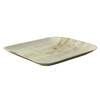 Plate 7.9X7.9X0.8 IN Palm Leaf Natural Square 25 Count/Pack 4 Packs/Case 100 Count/Case