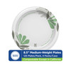 Dixie® Plate 8.5 IN Paper Multicolor Pathways Round 125/Pack