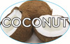 Coconut Bakery Flavor Label 1.25X2 IN Oval 4 Color Process 500 Count/Roll 20 Rolls/Case 10000 Count/Case