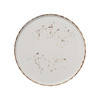 Splash Blanch Series Plate 11 IN Porcelain Round Stackable Dual Ovenable Dishwasher Safe 12/Case