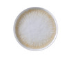 Optimum Plate 10 IN Melamine White Brown Round Upright 24/Case