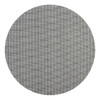 Sand Screen 17 IN Gray Resin Silicon Carbide Abrasives 60 Grit 10 Count/Case