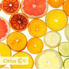 ActiveAire® Air Freshener Citrus Scent Yellow Refill 12/Case