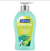 Softsoap Hand Soap Liquid 11.25 OZ Fresh Citrus Antibacterial 1/Each