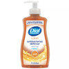 Dial Gold Hand Soap Liquid 11 OZ Pump Antibacterial 12/Case