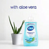 Dial Hand Soap Liquid 11 OZ Spring Water Antibacterial 12/Carton