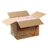 Anchor Gloves XXL Vinyl Disposable Powder-Free 1000/Case