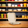 Take-Out Container Hinged 9X9X3 IN Sugarcane Kraft 200/Case