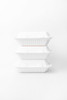 Take-Out Box 9X6 IN Sugarcane White 250/Case