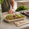 Take-Out Container 9X6 IN Linear 300/Case